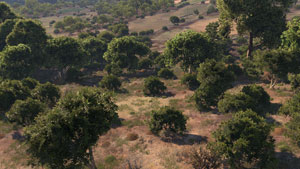 Arma 3 :: Screenshot